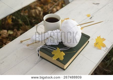 Details Of Still Life In The Home Interior Living Room. Beautiful Cup Of Tea With Tangerines And Swe