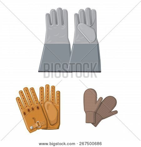 Vector Design Of Glove And Winter Symbol. Set Of Glove And Equipment Stock Vector Illustration.
