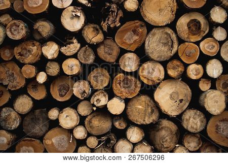 An Abstract Background Of Circular Shaped Logs