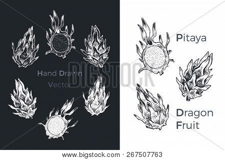 Hand Drawn Dragon Fruit Or Pitaya Icons Set Isolated On White And Black Chalk Background. Sketch Of 