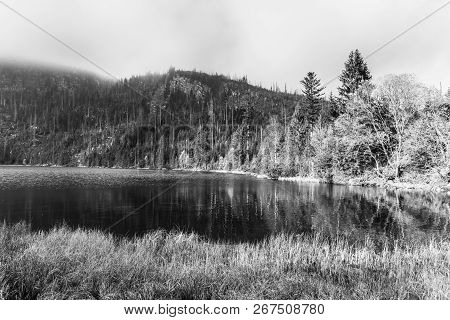 Plesne Lake And Plechy Mountain In Autumn. Sumava National Park, Czech Republic