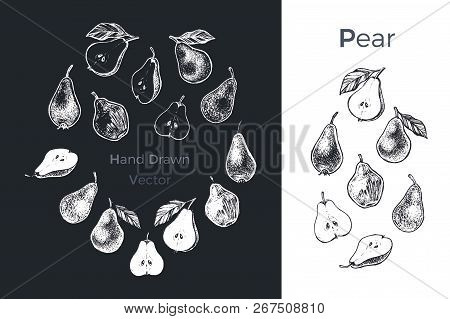 Hand Drawn Pear Icons Set Isolated On White And Black Chalk Background. Sketch Of Fruits For Packagi