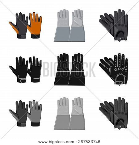 Vector Design Of Glove And Winter Logo. Collection Of Glove And Equipment Stock Vector Illustration.