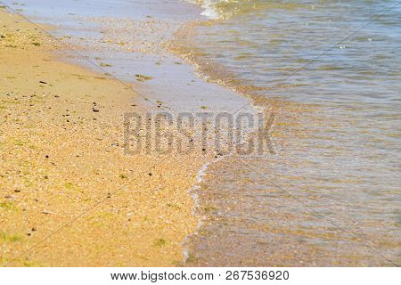 Coastal Sea Waves. Seawater With Seaweed. Coastal Algae. Sea Beach