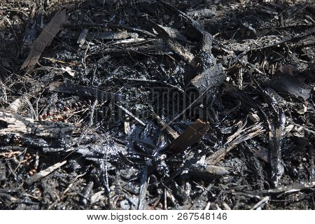 An Oil Seep In The Ground In Southern California