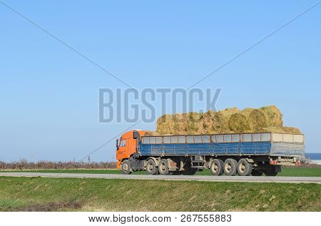 Truck Carrying Hay In His Body. Making Hay For The Winter