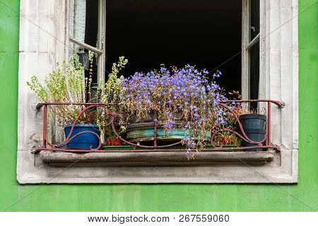 Flower Pots On A Windowsill Of An Old Decayed House