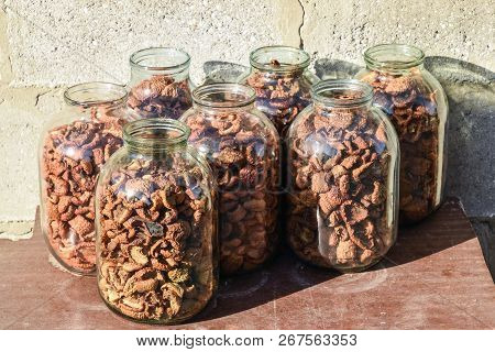 Dried Fruits In The Three-liter Jar. Dried Apples, Cut Into Slices.