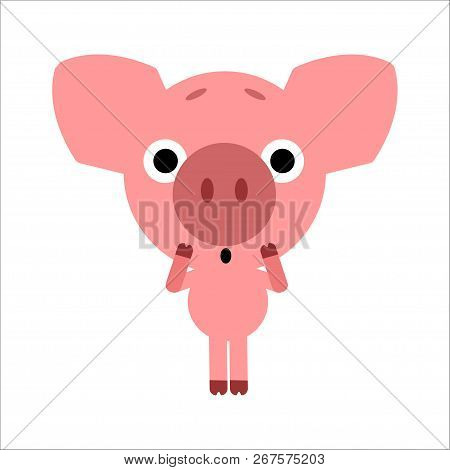 Symbol Of 2019. Cute Vector Pig. Piggy Gets Scared. White Background. Flat Design. Vector.