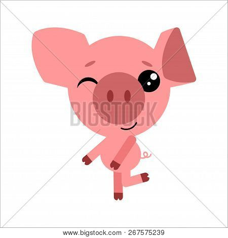 Symbol Of 2019. Cute Vector Pig. Piggy Winks. White Background. Flat Design. Vector.