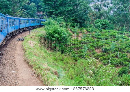 Local Train Rides Through Mountains Near Bandarawela, Sri Lanka