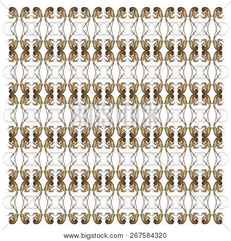 Spiny lobsters, Palinuridae, in repeated pattern, in front of white background