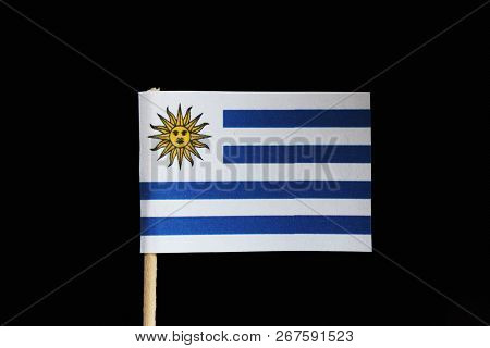 A Original And Official Flag Of Uruguay On Toothpick On Black Background. Consists Of Nine Horizonta