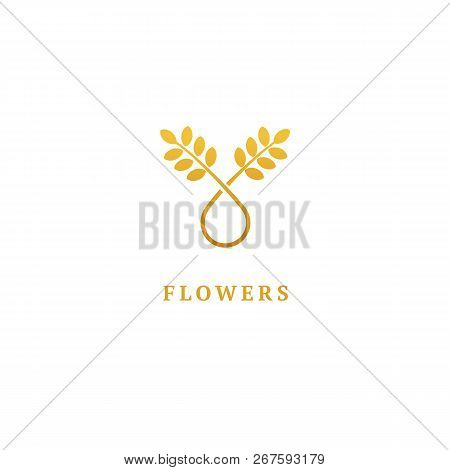 Vector Stock Logo, Abstract Nature Sign. Illustration Design Of Elegant, Premium And Royal Logotype 