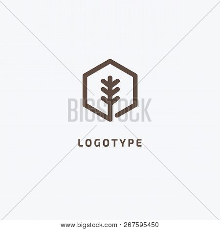 Vector Stock Logo, Abstract Nature Sign. Illustration Design Of Elegant, Premium And Royal Logotype 
