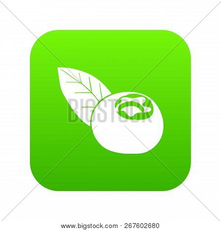 Cranberry Icon Green Vector Isolated On White Background