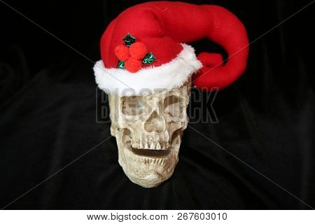 Evil Christmas Skull. Human Skull with a Santa Claus Hat. Isolated on black. Room for text. Evil Claus.