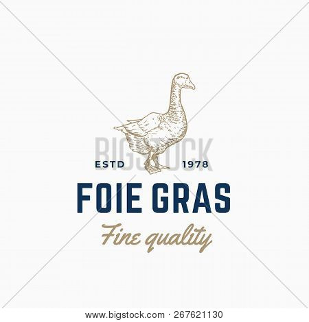 Goose Pate Foie Gras Abstract Vector Sign, Symbol Or Logo Template. Hand Drawn Goose Sillhouette Ske