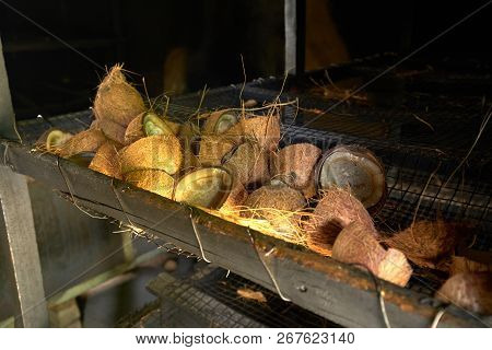 Manufacture Of Coconut Oil, Copra, With Coconuts, La Digue, Union Estate Farm, Seychelles