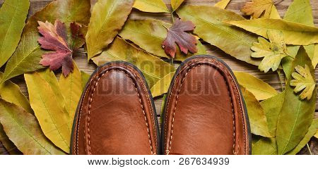 Men's Leather Moccasins On A Wooden Floor Against The Background Of Yellow Fallen Leaves.