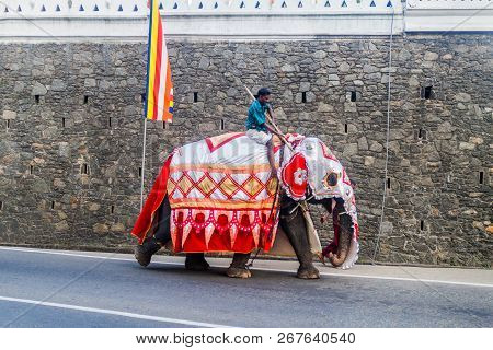 Kandy, Sri Lanka - July 19, 2016: Decorated Elephant On A Street Of Kandy During Poya Full Moon Holi