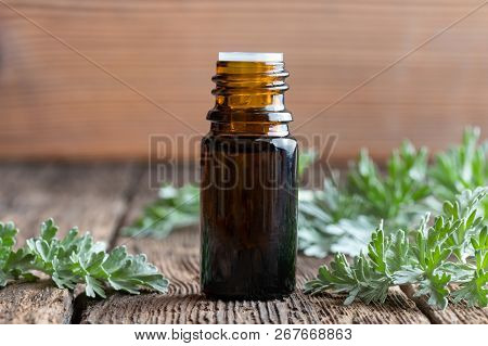 A Bottle Of Wormwood Essential Oil With Fresh Artemisia Absinthium Leaves