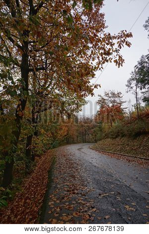 The Road With Red Trees In The Mountain