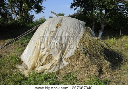 Haystack. A Haystack Of Grass Hay. Hay Making