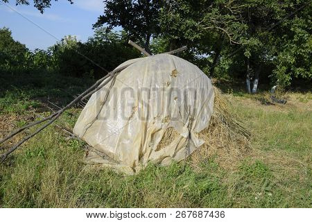 Haystack. A Haystack Of Grass Hay. Hay Making
