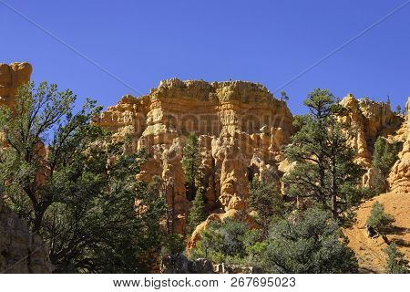 Red Canyon, Laik Nowhere Else On Earth,
 Beautiful National Park In Utah