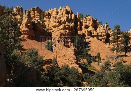 Red Canyon, Laik Nowhere Else On Earth,
 Beautiful National Park In Utah