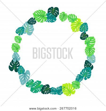 Aquamarine Tropical Jungle Leaves Vector Scatter. Philodendron Or Monstera Plant Summer Background. 