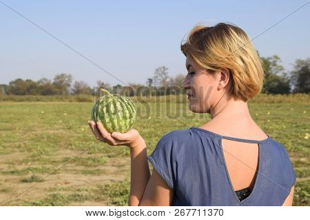 Girl With A Watermelon In Her Hand. Search For Watermelons In The Field Of Melons. Found A Watermelo