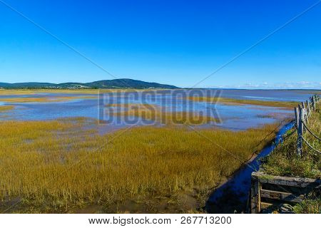 Marshland View In Hopewell Hill, New Brunswick, Canada