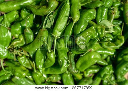 Green Hot Pepper In Local Market Of Saint-pierre, Reunion Island