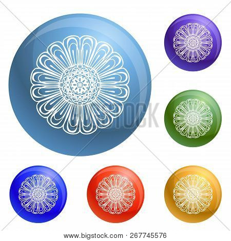 Chamomile Icons Set 6 Color Isolated On White Background