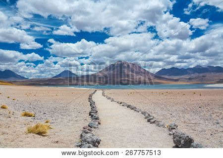 Atacama Altiplana Desert, Laguna Miscanti Salt Lake And Mountains Landscape, Miniques, Chile, South 