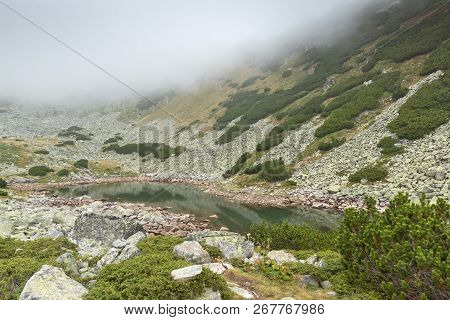 Bulgaria, Borovets, Samokov, Sofia Region,  Rila, Rila Mountain, Mountain, Landscape, Panorama, Rock
