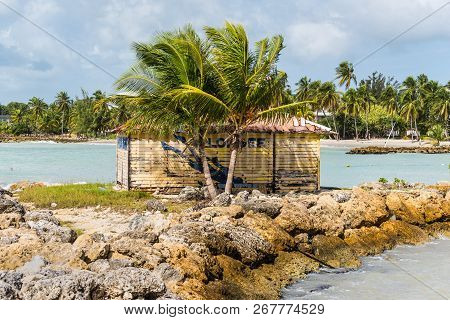 Le Gosier, Guadeloupe - December 21, 2016: Dive Shop At The End Of A Pier With A Palm Tree Shadow In