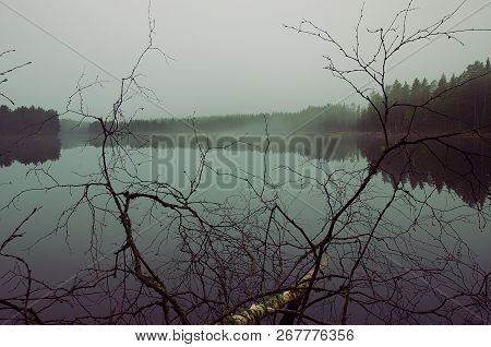 Foggy Autumn Morning Over A Lake In Dalarna.