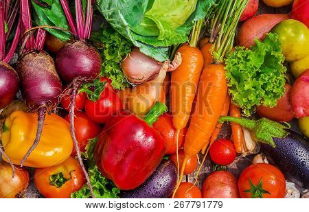 Different Bio Vegetables. Selective Focus. Food Nature.