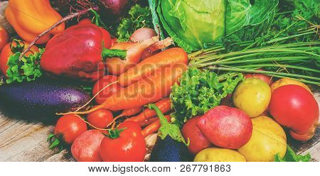 Different Bio Vegetables. Selective Focus. Food Nature.