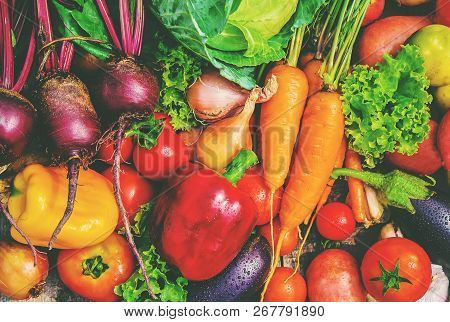 Different Bio Vegetables. Selective Focus. Food Nature.
