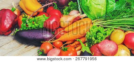 Different Bio Vegetables. Selective Focus. Food Nature.