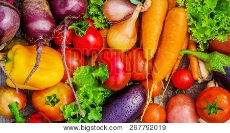 Different Bio Vegetables. Selective Focus. Food Nature.