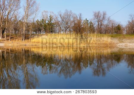 Summer Forest River With Reflection Of The Coast