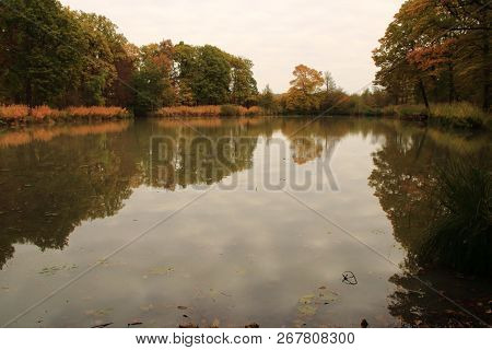 Hamberger Lake In The Area Stromberg In Baden-wuerttemberg In Germany