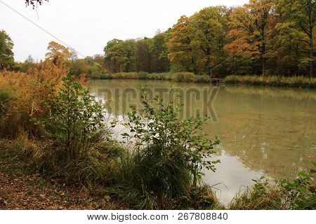 Hamberger Lake In The Area Stromberg In Baden-wuerttemberg In Germany