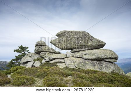 Alpine Padded Brushwood (cytisus Oromediterraneus And Juniperus Communis) In Siete Picos (seven Peak