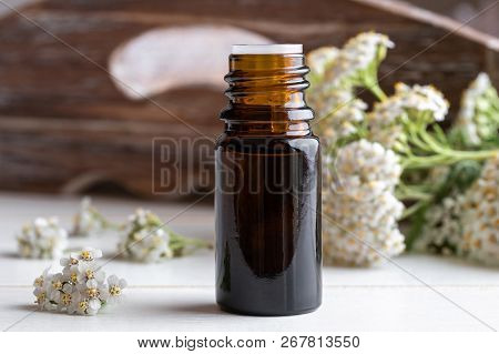A Bottle Of Essential Oil With Fresh Blooming Yarrow Twigs